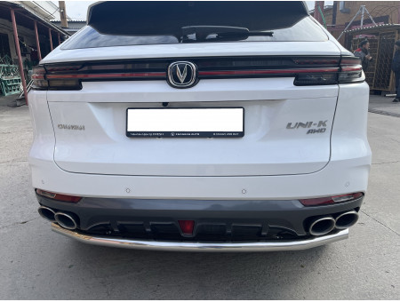 Защита заднего бампера d60